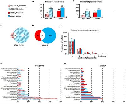 Phosphorylation of Extracellular Proteins in Acinetobacter baumannii in Sessile Mode of Growth